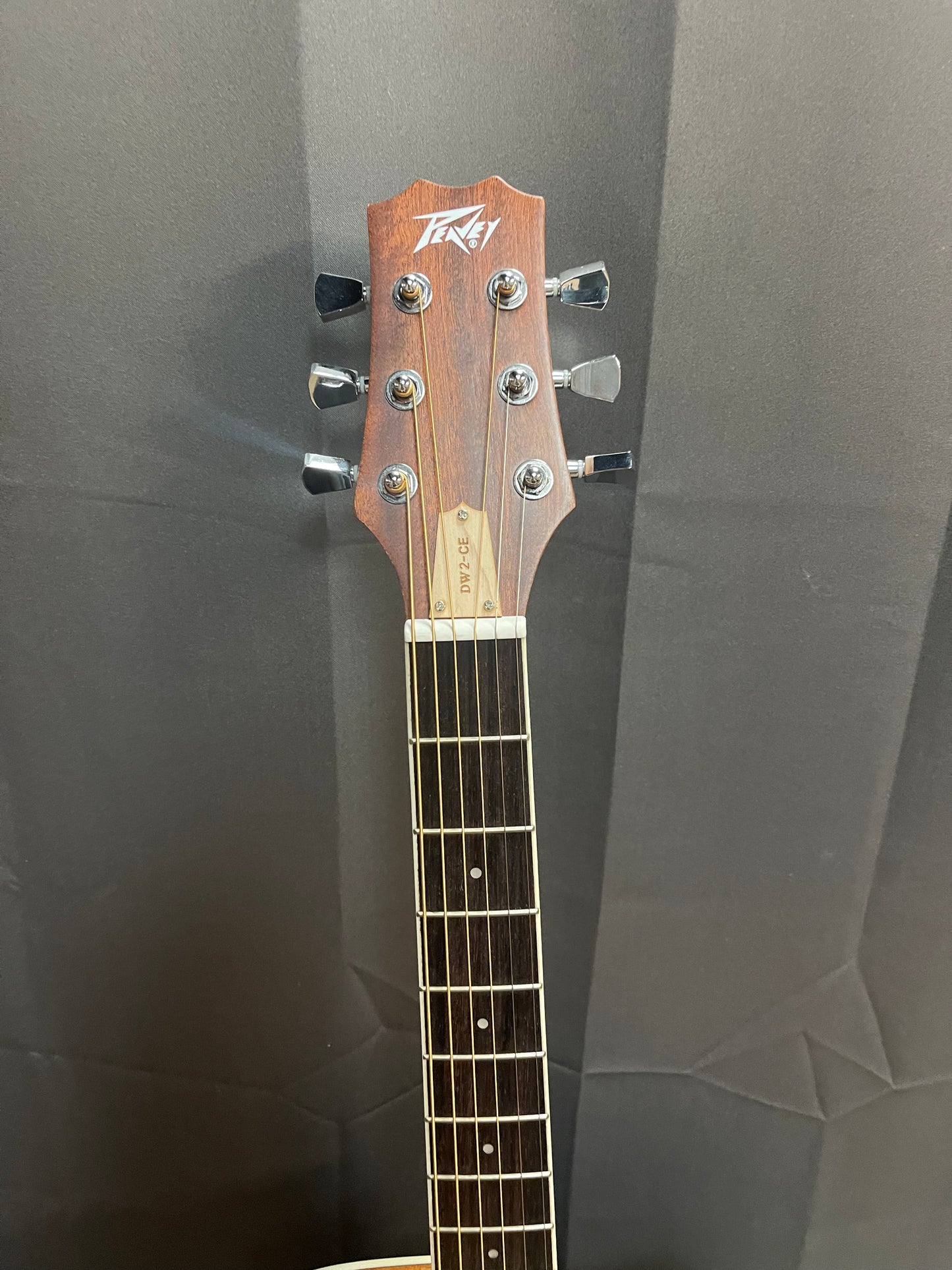 PEAVEY DW 2CE CUTAWAY ACOUSTIC/ELECTRIC GUITAR